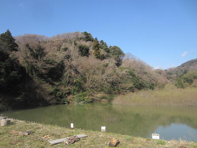 29沢山池の里山自然観察会.JPG